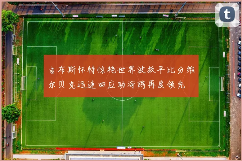 吉布斯怀特惊艳世界波扳平比分维尔贝克迅速回应助海鸥再度领先