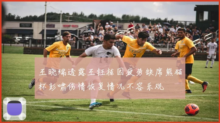 王晓瑞透露王钰栋因疲劳缺席熊猫杯彭啸伤情恢复情况不容乐观